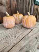 courge_butternut_automnfrost.jpg
