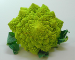 chou_fleur_romanesco.png